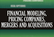 Financial Modeling, Pricing Companies, Mergers and Acquisitions